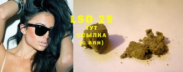 шишки Балабаново